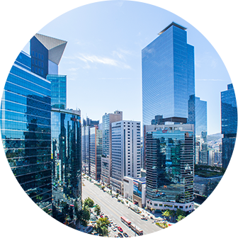 천안애견훈련소